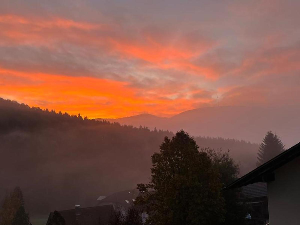 Black Forest Appartement - Brandenkopfblick Zell am Harmersbach Bagian luar foto