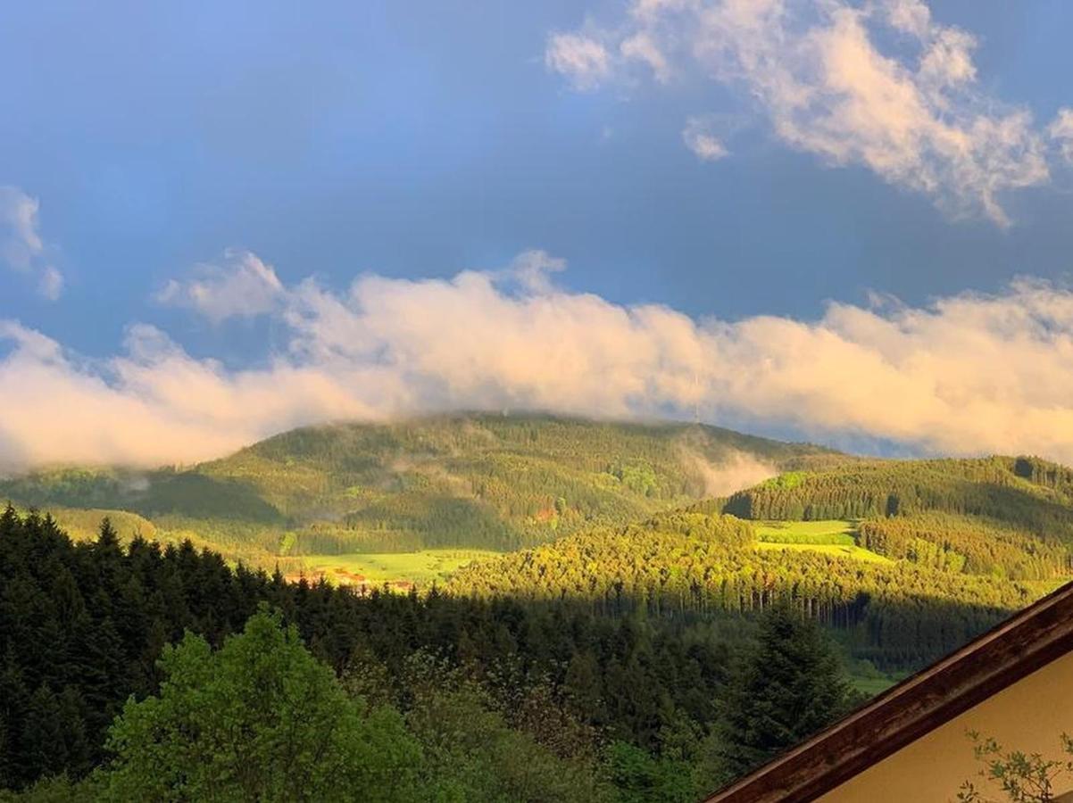 Black Forest Appartement - Brandenkopfblick Zell am Harmersbach Bagian luar foto